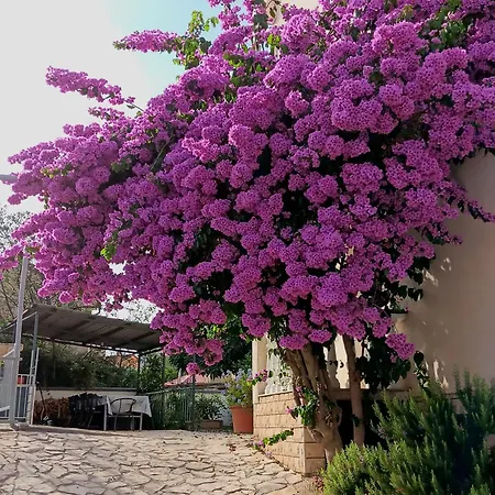 Apartamento Kika *